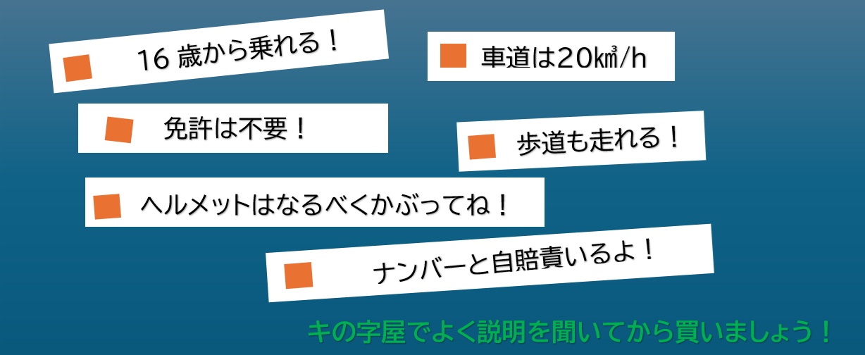 リッチビット