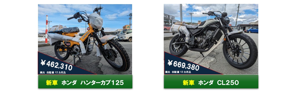 展示